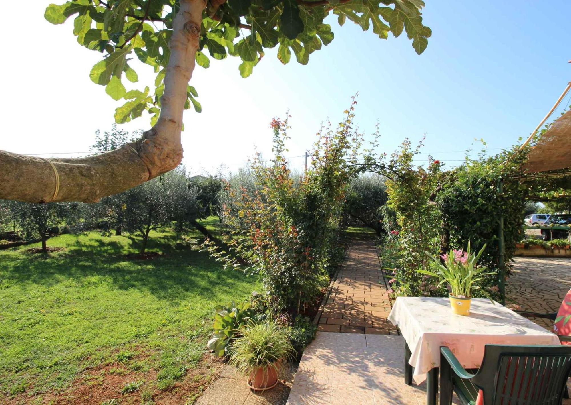 Apartments In Novigrad - Istrien 46738 Karpinjan Εξωτερικό φωτογραφία