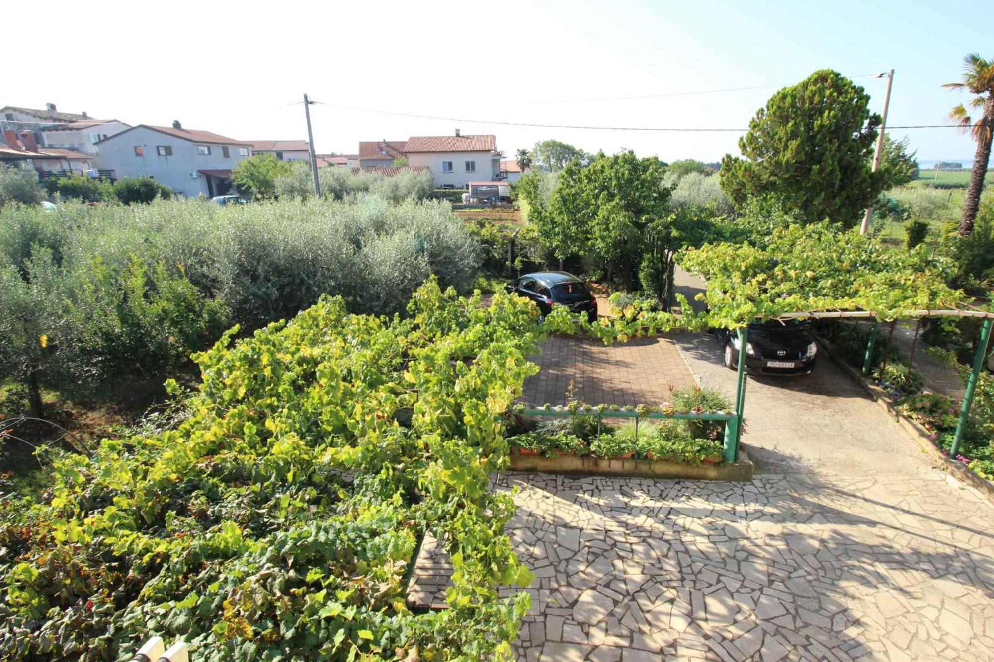 Apartments In Novigrad - Istrien 46738 Karpinjan Εξωτερικό φωτογραφία