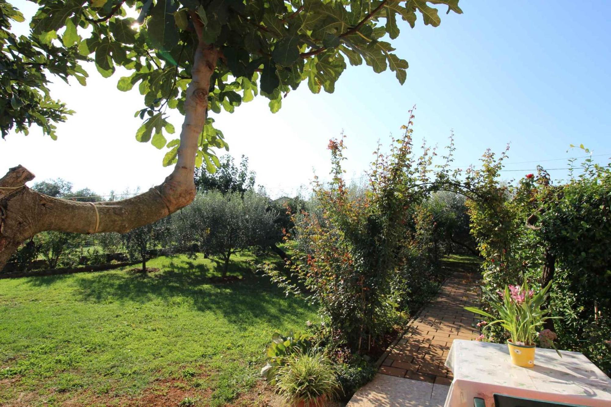 Apartments In Novigrad - Istrien 46738 Karpinjan Εξωτερικό φωτογραφία